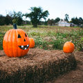 Discover Food Tourism at Pumpkin Jack's Ranch