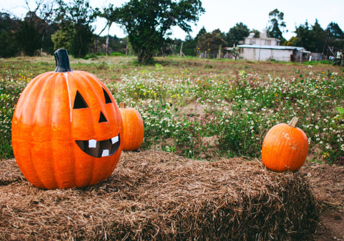 Discover Food Tourism at Pumpkin Jack's Ranch